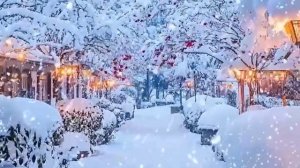 Зима - белая красавица (автор Лукин А.)