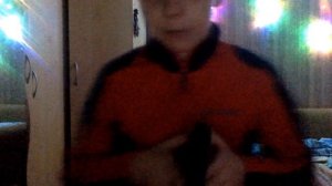 скора стрим но ниноэтом конале