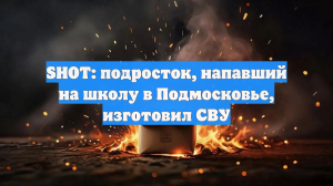 В подмосковной школе ищут СВУ после нападения подростка с ножом