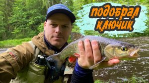 ГОЛАВЛЬ по высокой воде | Тяжелые условия ловли на новой реке.