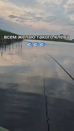 Отличный клёв🐟 🎣