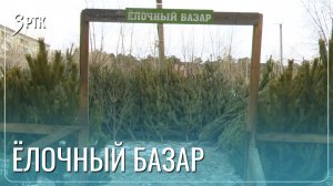 Читинцы могут купить ёлку со всем пакетом документов