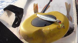 16.12.25 г. Первое купание новой блесны.))