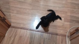 Мотивация на Уборку)