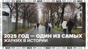 Ученые назвали 2025 год одним из самых жарких в истории — Москва 24 | Контент