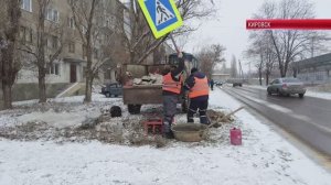 ТК "Родной". В Кировске продолжаются плановые работы по благоустройству