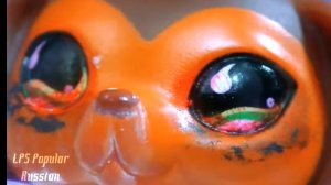 лпс популяр эпизод 27