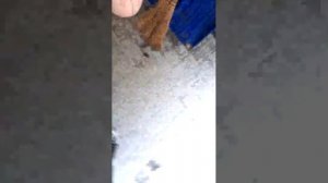 стрим новый год зима