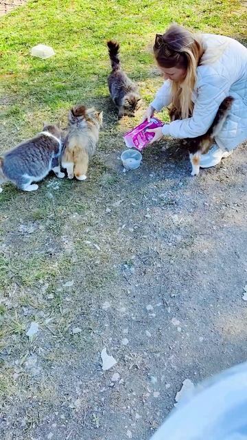 Сергей и Алиса | История двух сердец | Дачные видеозарисовки | День добрых дел | Часть 5