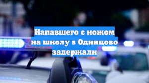 Напавшего с ножом на школу в Одинцово задержали