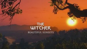 The Witcher 3 Ciri's Adventures - Calming Witcher Soundtrack & Ambience