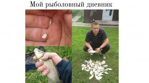 Мой рыболовный дневник по ловле карася.