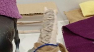 сериал Навсегда// шляйх сериал//2 серия// лошади шляйх//Karmen studio //