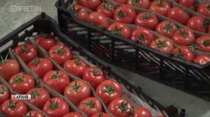 Россельхознадзор выявил заражённые овощи и фрукты на складе в Дагестане