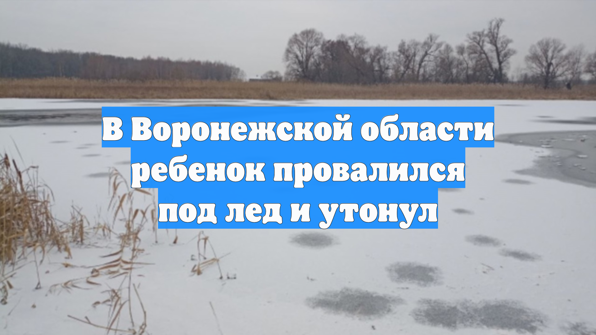В Воронежской области ребенок провалился под лед и утонул смотреть онлайн