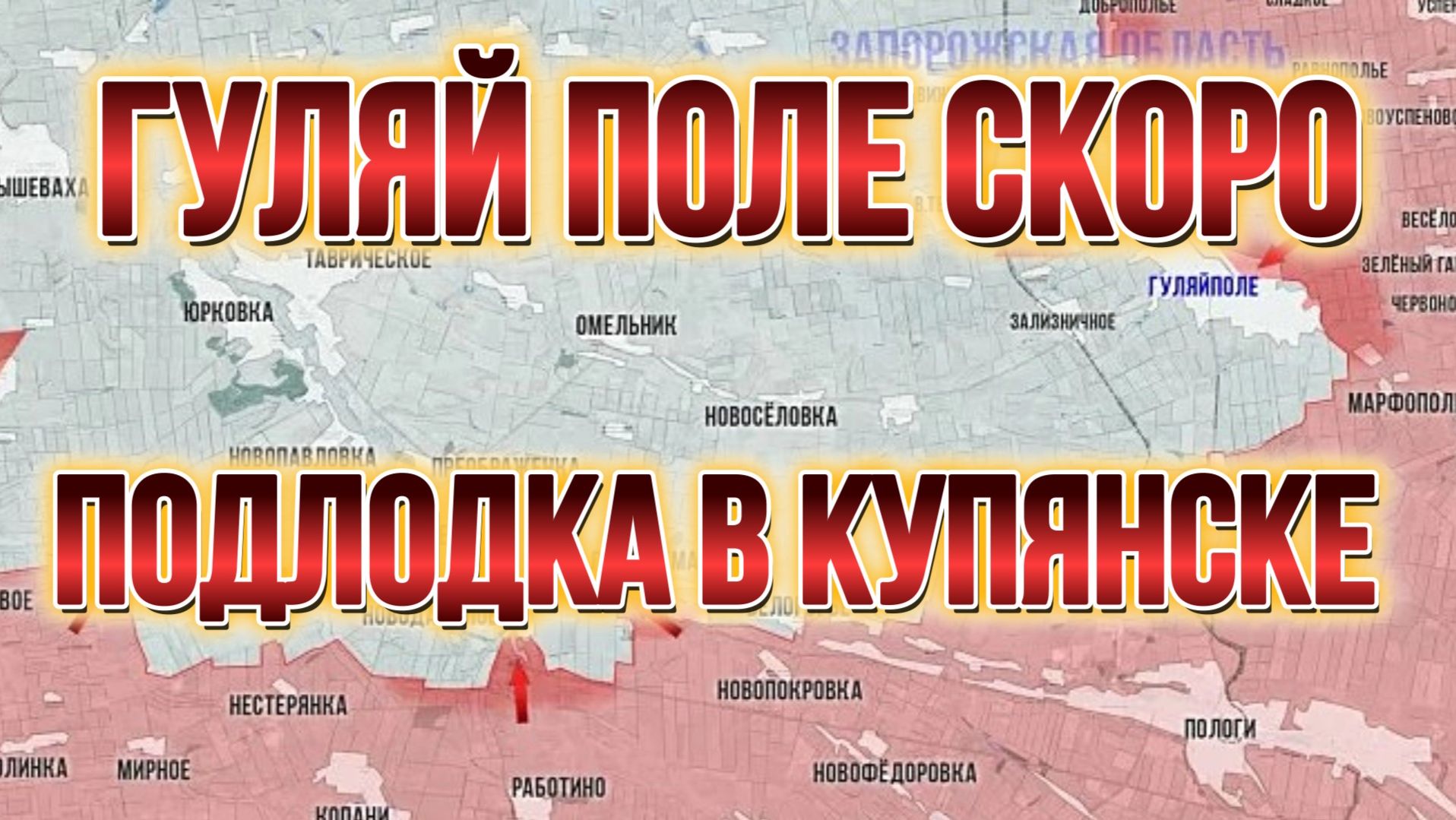 ТАМИР ШЕЙХ / ГУЛЯЙ ПОЛЕ СКОРО? ПОДЛОДКА В КУПЯНСКЕ. новости сводки