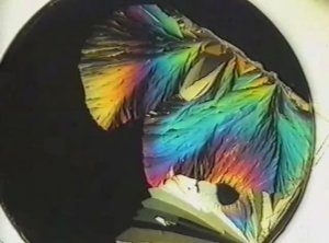 Физика. Опыты. Рост кристаллов гипосульфита