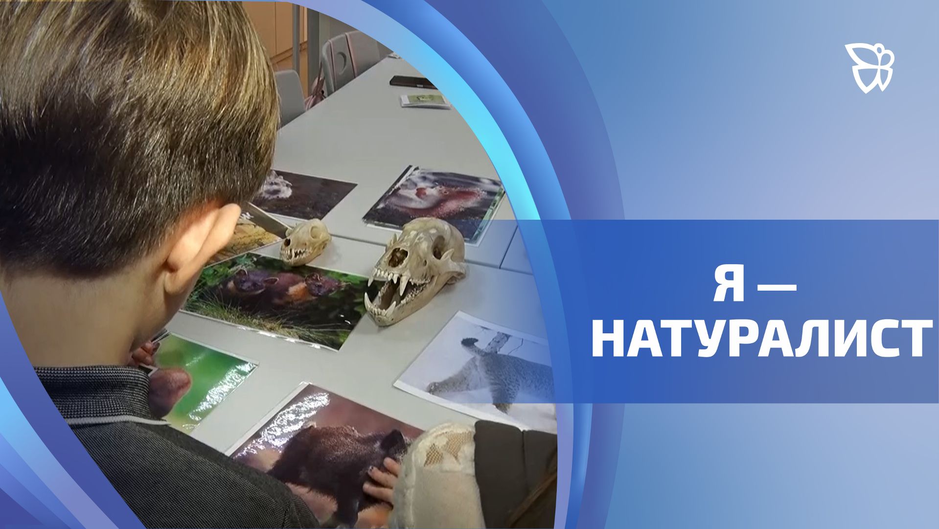 На Городской станции юных натуралистов проводят экоквест для тагильских школьников