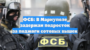 ФСБ: В Мариуполе задержан подросток за поджоги сотовых вышек