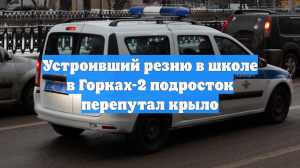 Устроивший резню в школе в Горках-2 подросток перепутал крыло