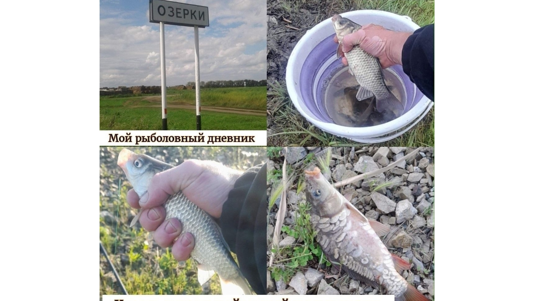 Двух дневная рыбалка в Озерках.
Ловля карпа и карася.