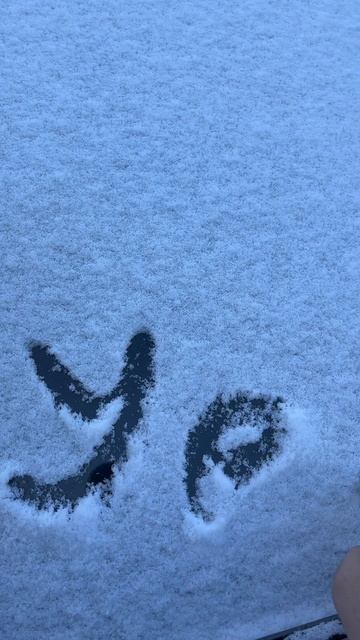 Вот и к нам зимушка пришла 🥳 #shorts #зима #зима2025 #ростовнадону #снег #первыйснег