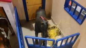 шляйх сериал " шрамы судьбы"