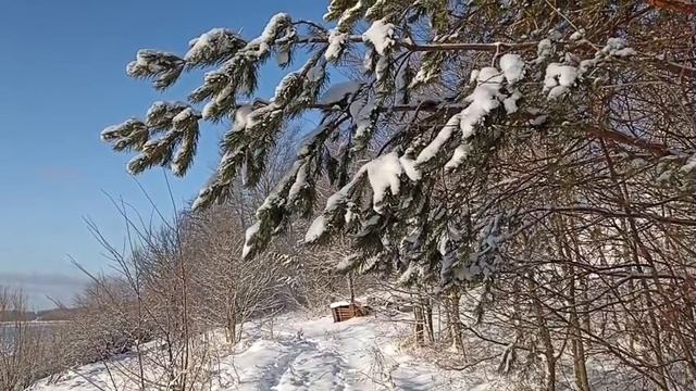 На реке образовался лёд.