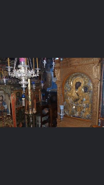 Скоропослушница