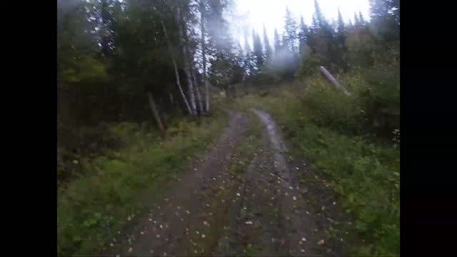 МЕТКИЙ ВЫСТРЕЛ  // Часть # 2 // Наткнулись на медведя