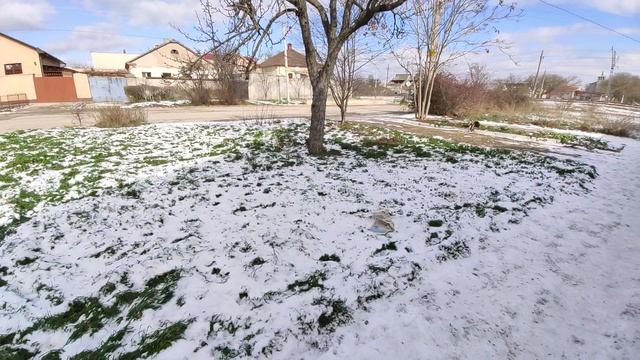 Один из дней города Евпатории | 15 февраля 2021 год  Крым  ХАН БАТОН XAH 6ATOH | VID_20210215_134308