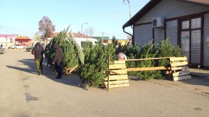 ЗАПАХ ПРАЗДНИКА