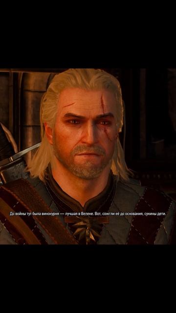 #witcher3 | Встреча с Кровавым бароном #games #rpg
