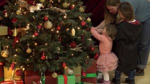 «Елка желаний» прошла в Центре детского творчества «Содружество»