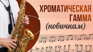 🎷🎶ХРОМАТИЧЕСКАЯ ГАММА | Новичкам | Как играть и не путаться? База, без которой дальше сложно