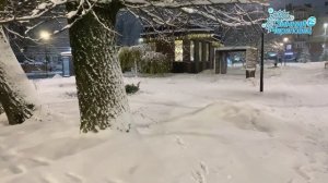 Краева Ирина-Новогодний Череповец