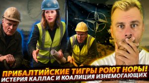 ИСТЕРИЯ КАЛЛАС И КОАЛИЦИЯ ИЗНЕМОГАЮЩИХ | ПРИБАЛТИЙСКИЕ ТИГРЫ РОЮТ НОРЫ