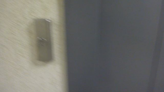 Грузопассажирский, пассажирский лифт (г. Троицк), V=1 м-с, г-п 630, 1000 кг (107), муз. лифты ЩЛЗ