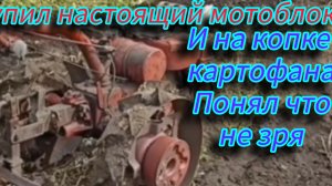 Теперь дела пойдут подумал я когда купил старейший мотоблок МТЗ -05 практически из первых выпусков