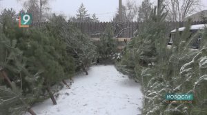 Новости Старого Оскола от 16 декабря