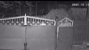 🔴 Tradiția nu se uita da se respectă)