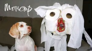 Туалетный монстр . Скибиди.