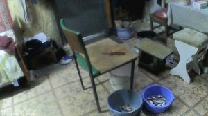 VID00006рыба    89029478846 озон банк