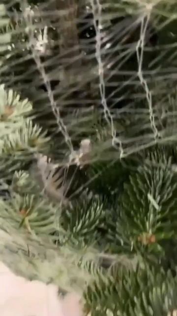 Новогодняя интеграция