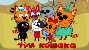 МУД Три Кошака Съёмка видео запрещена