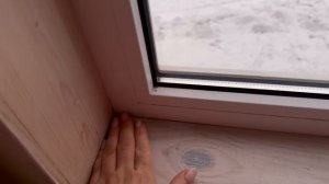 Грибы. Опять косточку нашел. Рисунок камина. Уезжаем