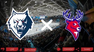 Нефтехимик - Торпедо