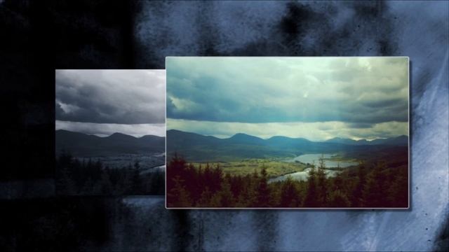 Stive Morgan - Mystical Wood