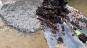 Делаем въезд на дачу и парковку. Строим дачу 2.