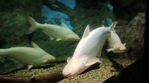 ПОЕЗДКА, ВСТРЕЧА С ДОЧЕЙ.